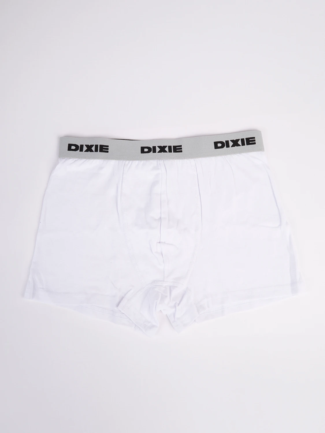 Boxer Dixie Merun