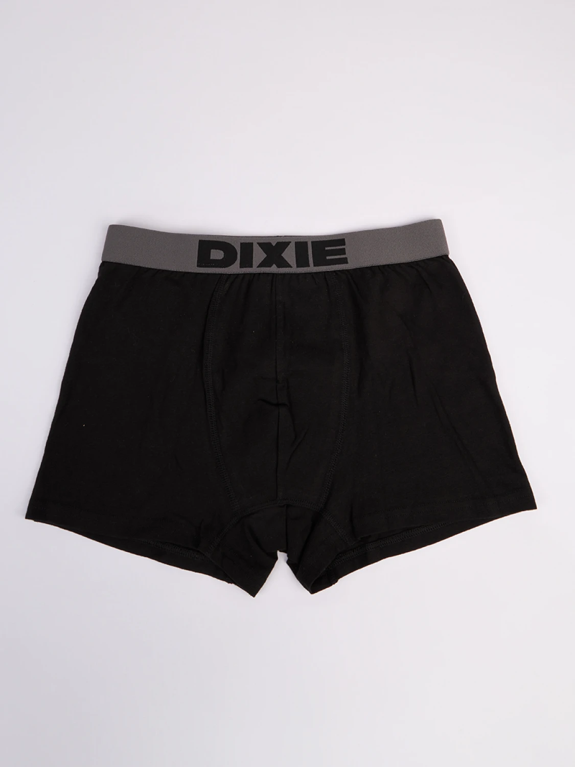 Boxer Dixie Talillo
