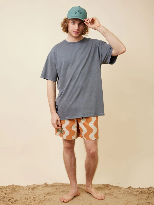 Remera Rusty Deico – Gris