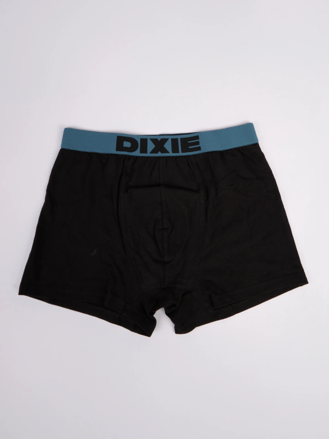 Boxer Dixie Talillo