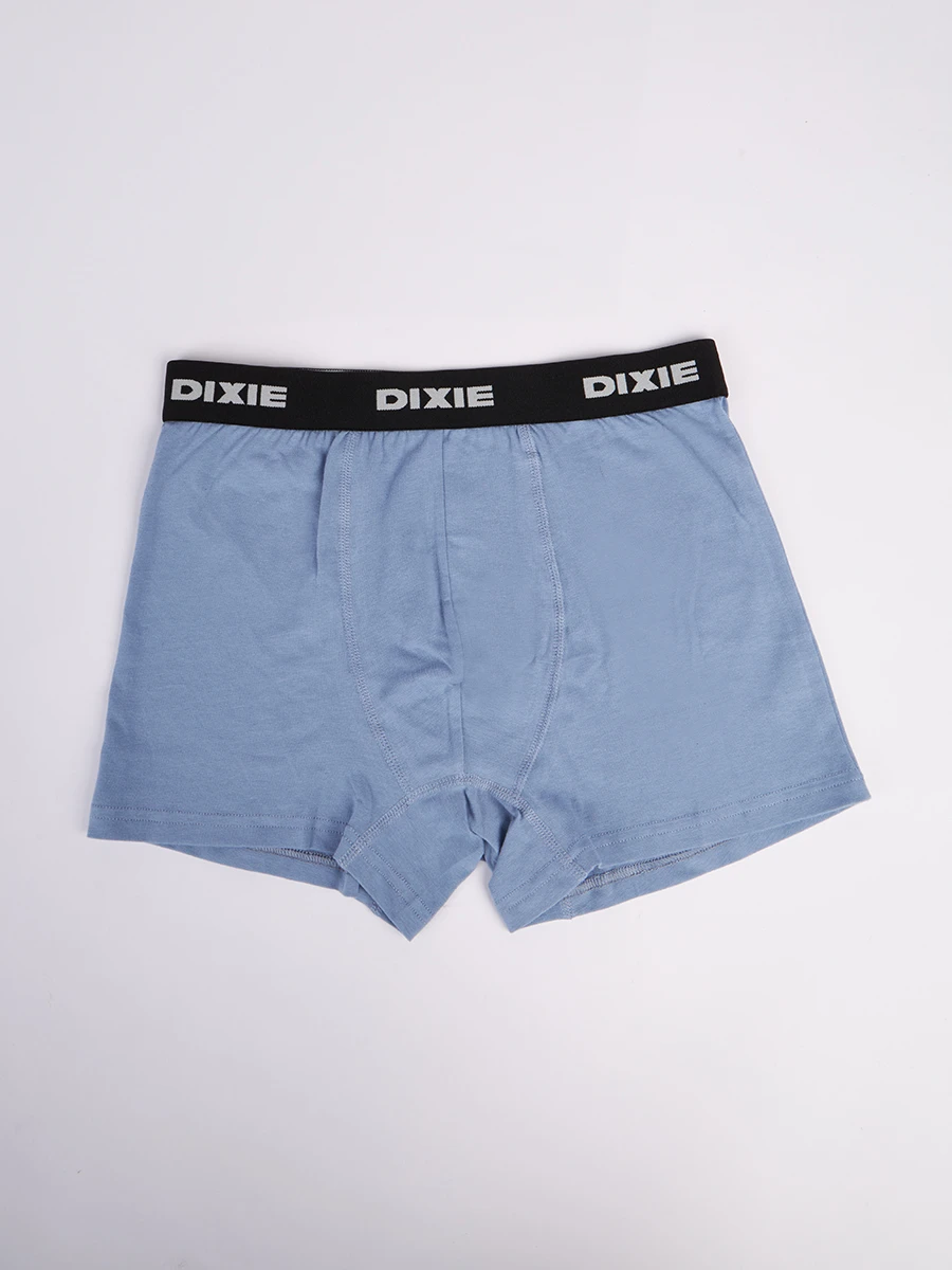 Boxer Dixie Merun