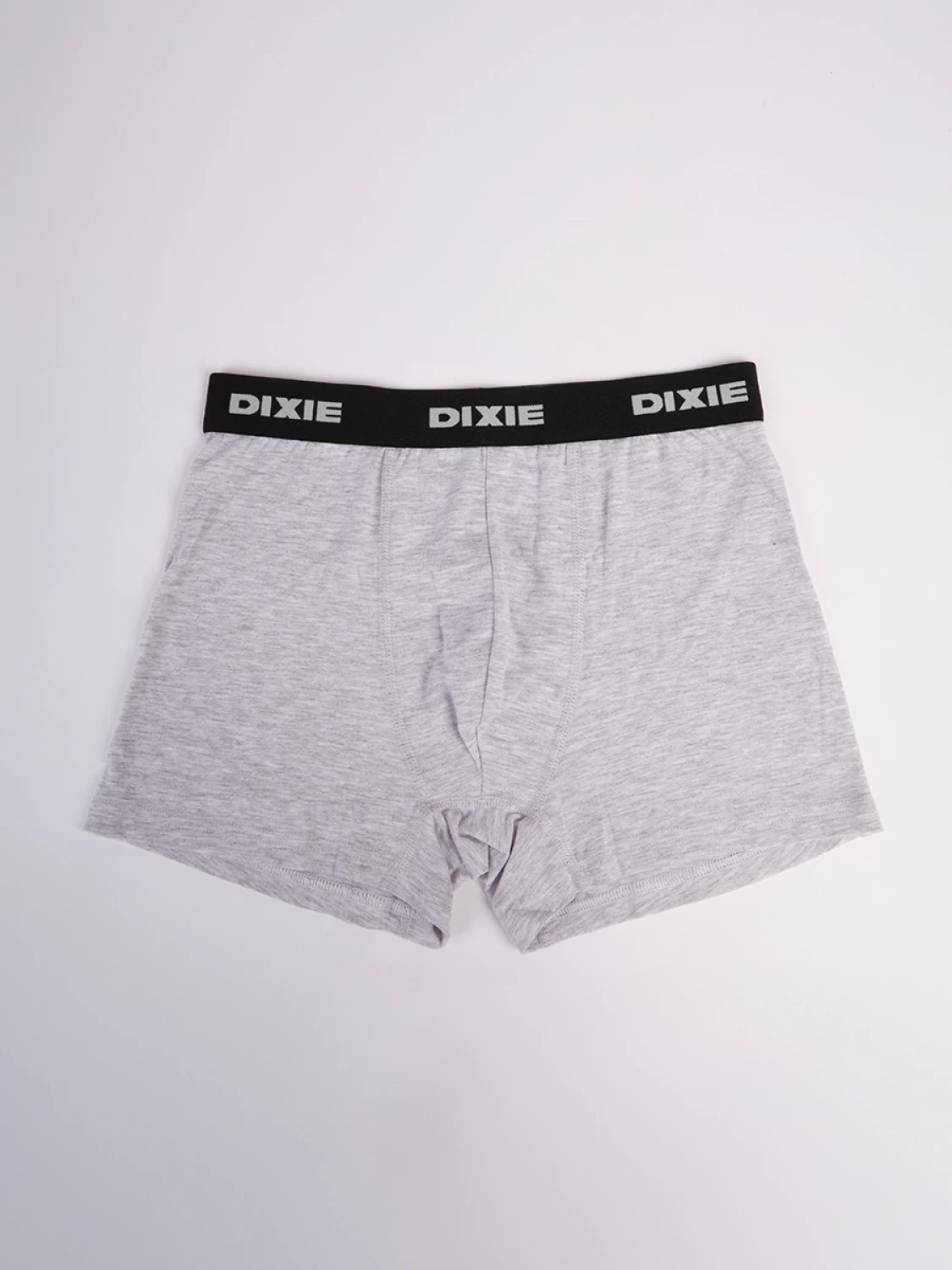 Boxer Dixie Merun