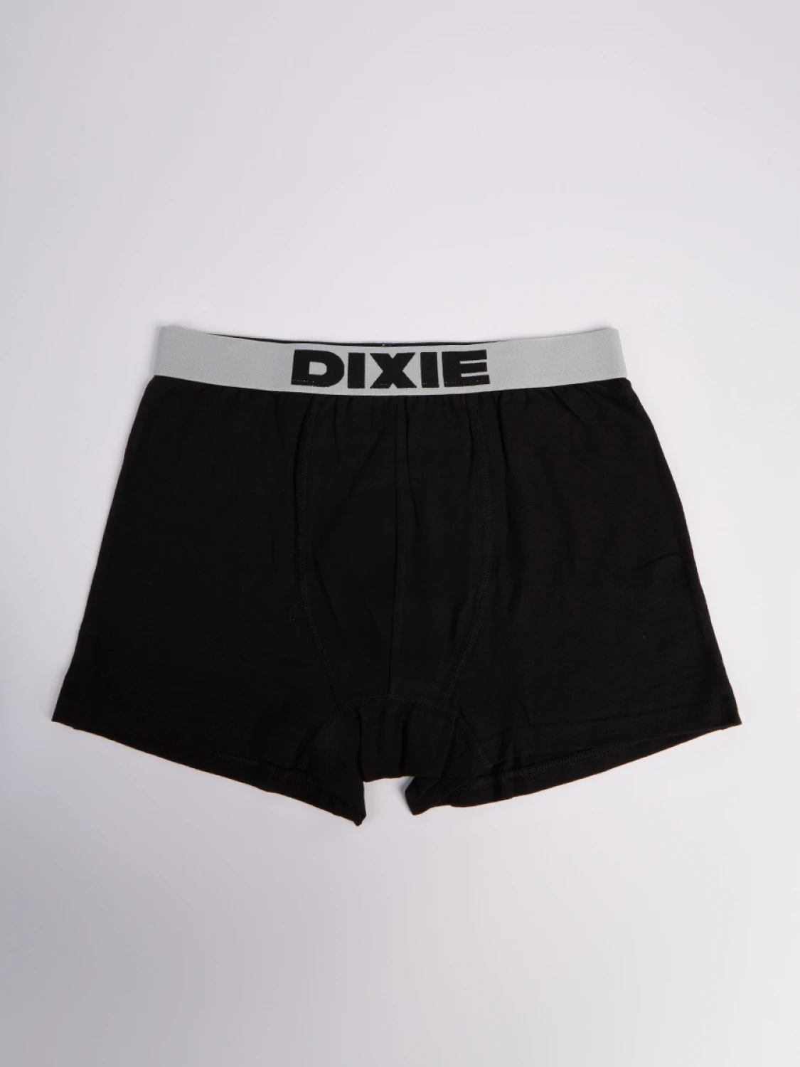 Boxer Dixie Talillo