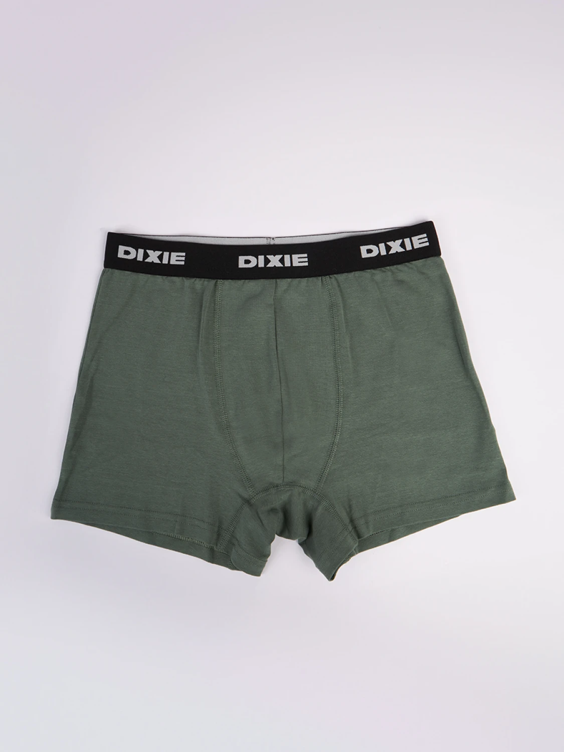 Boxer Dixie Merun
