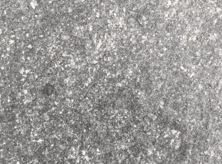 GRANITO RUSTICO MIRASEMA GRIS 40x60