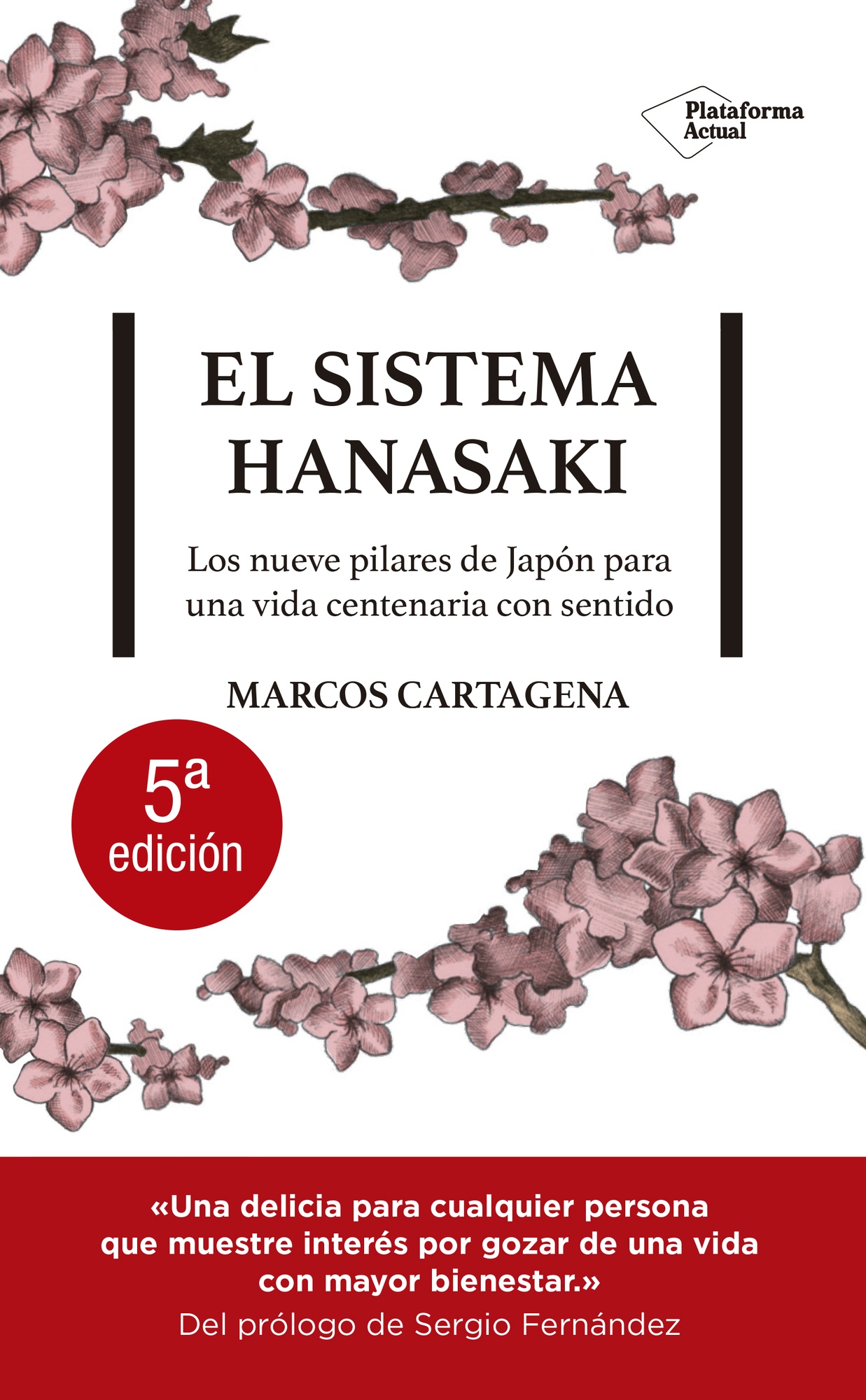 EL SISTEMA HANASAKI
