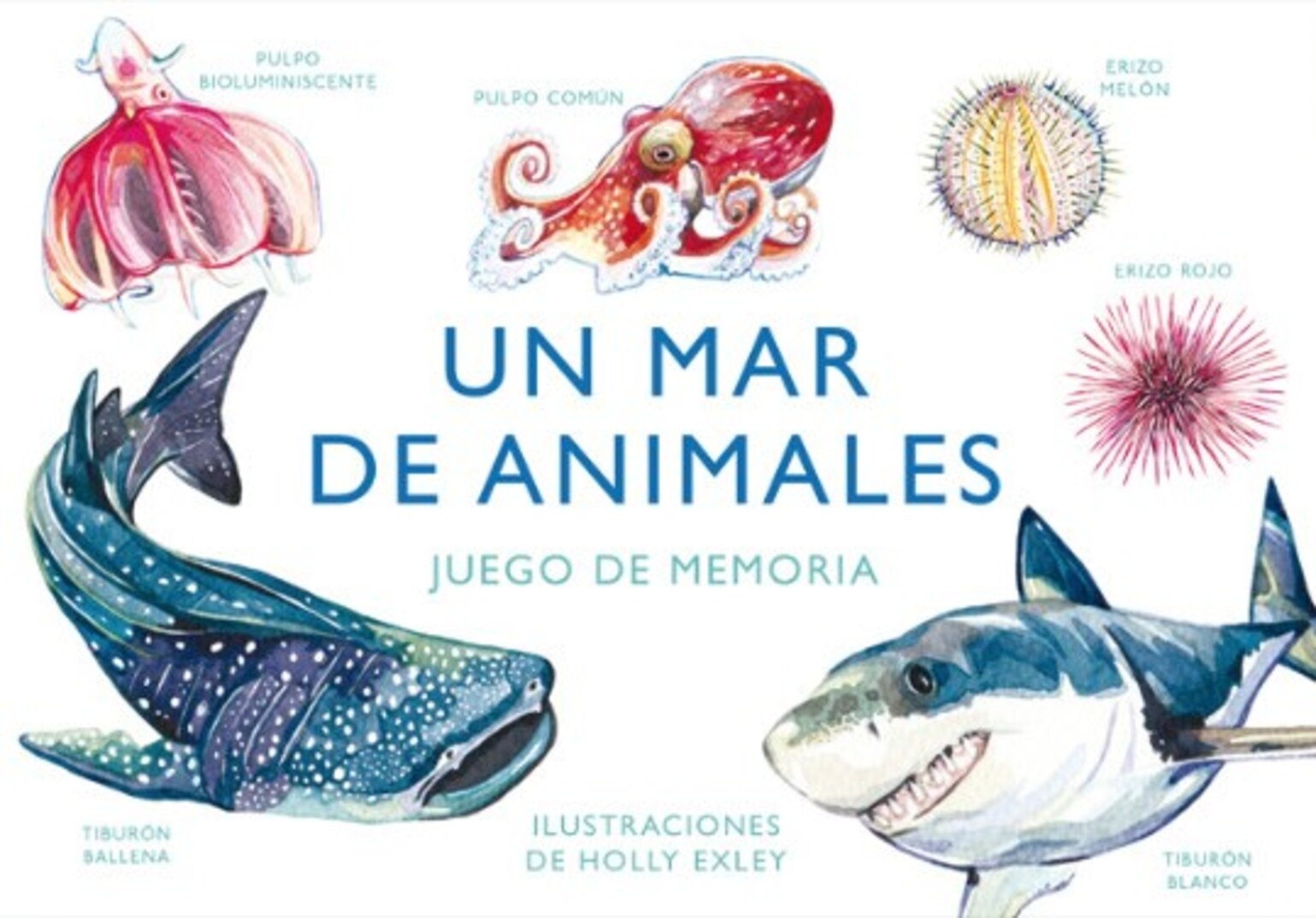 UN MAR DE ANIMALES: JUEGO DE MEMORIA