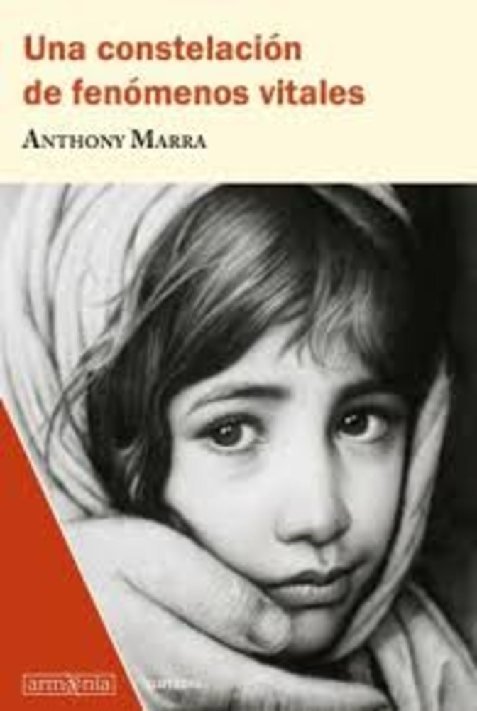 Una constelacion de fenomenos vitales