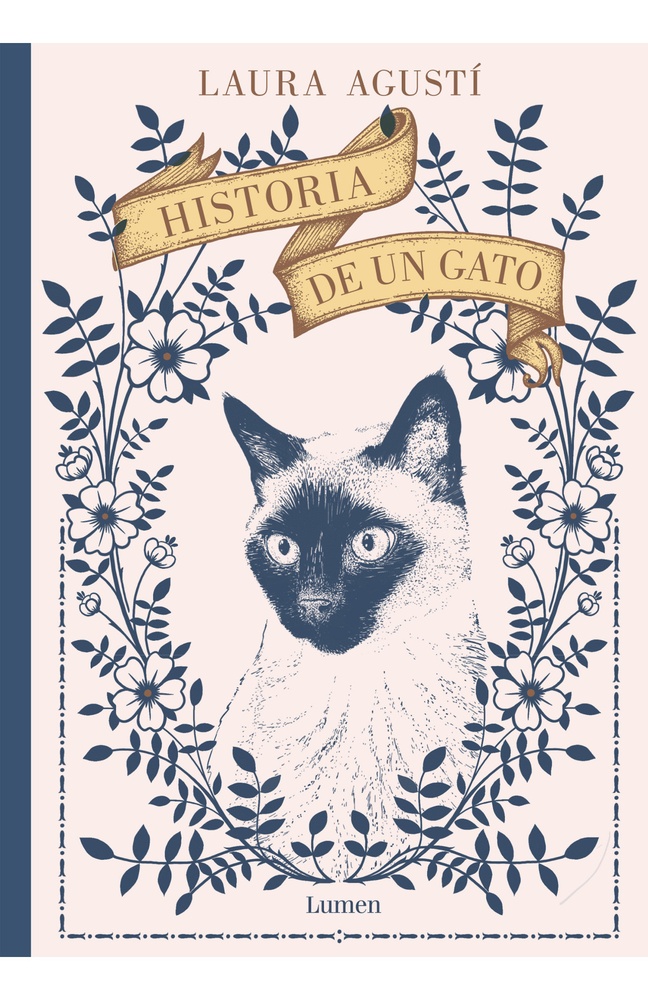Historia de un gato