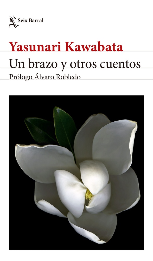 Un brazo y otros cuentos