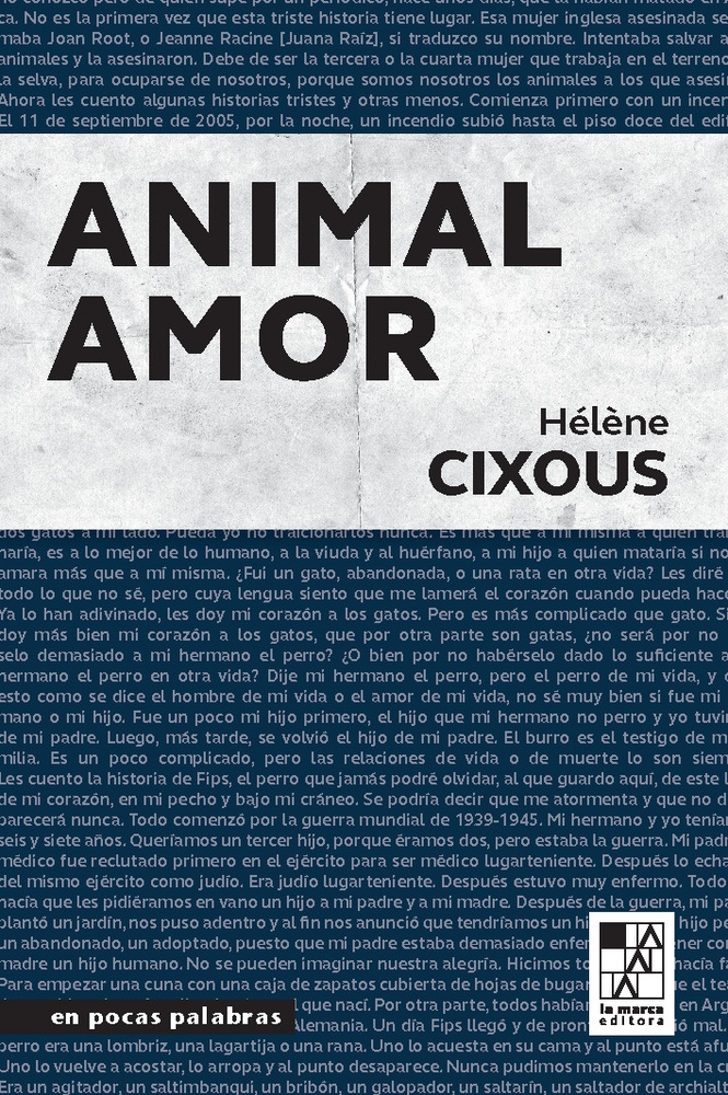 Animal amor