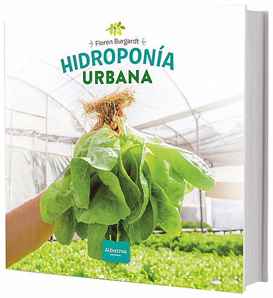 Hidroponia urbana