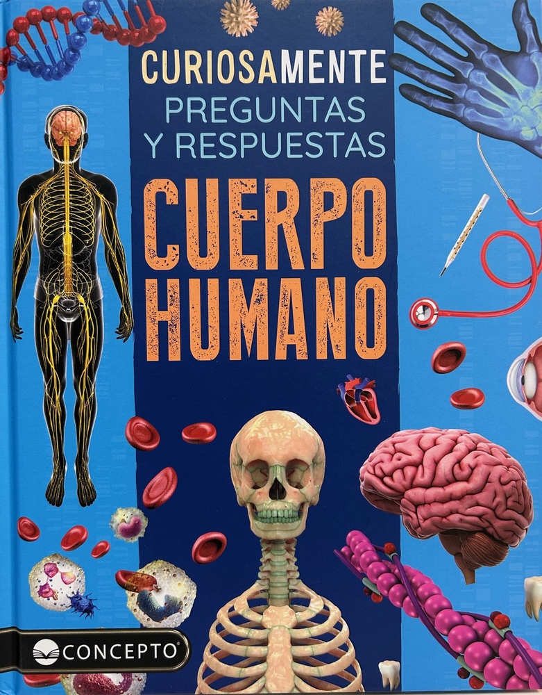 Curiosamente cuerpo humano