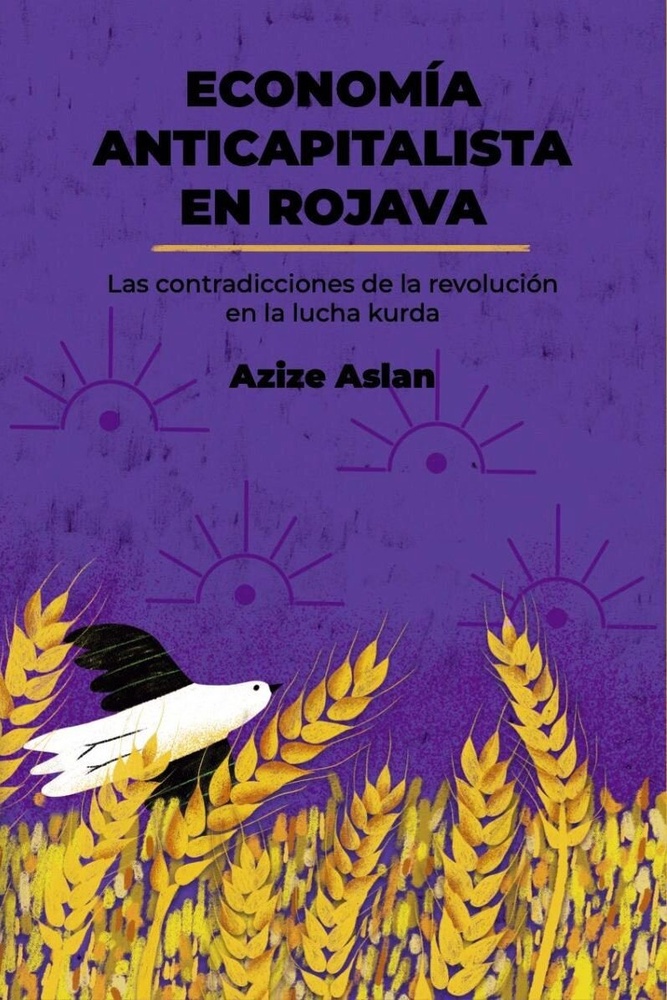 Economia anticapitalista en Rojava