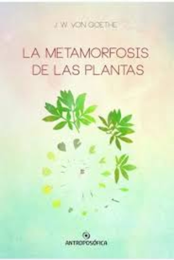 La metamorfosis de las plantas