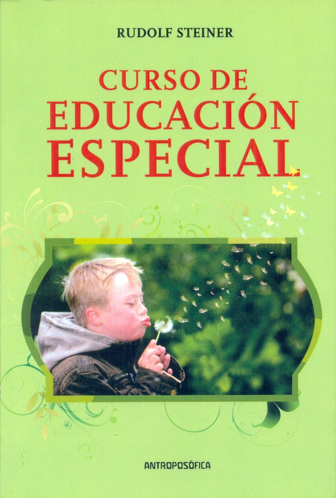 Curso de educacion especial