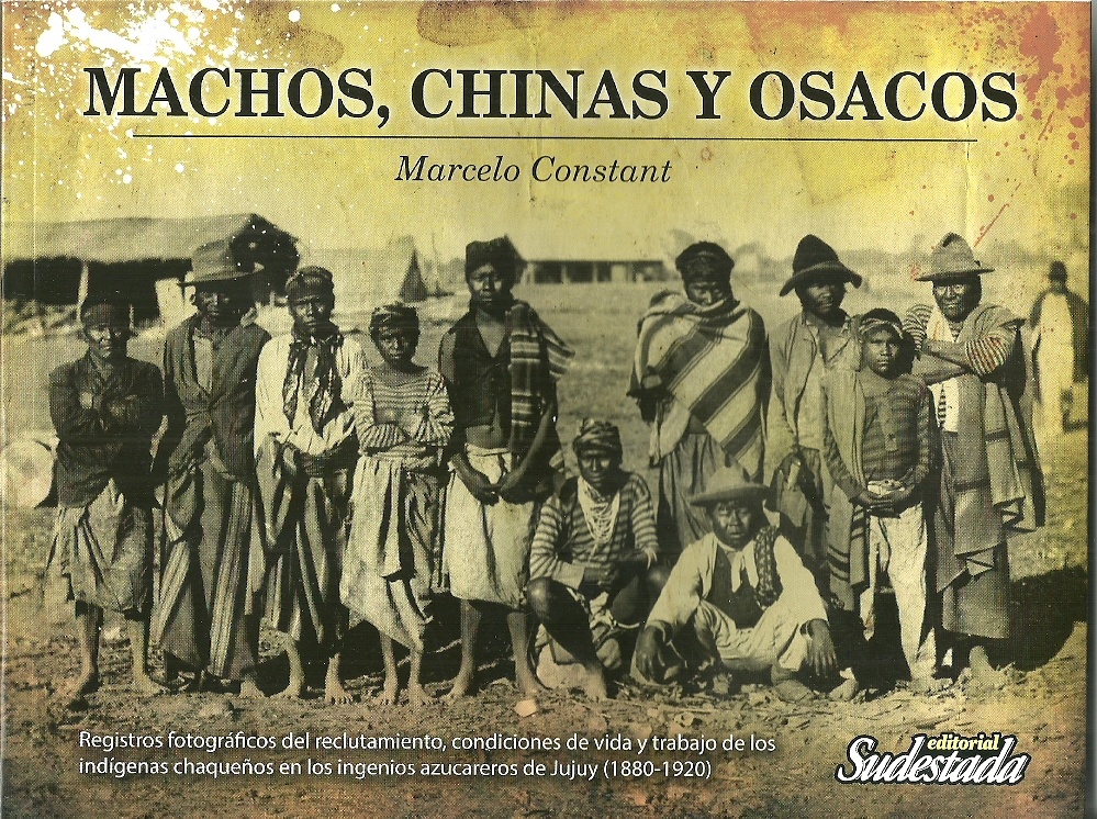 Machos, chinas y osacos