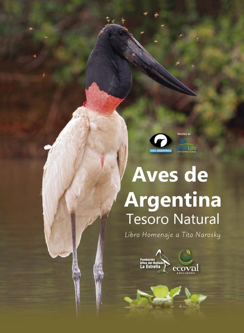 Aves de Argentina tesoro natural