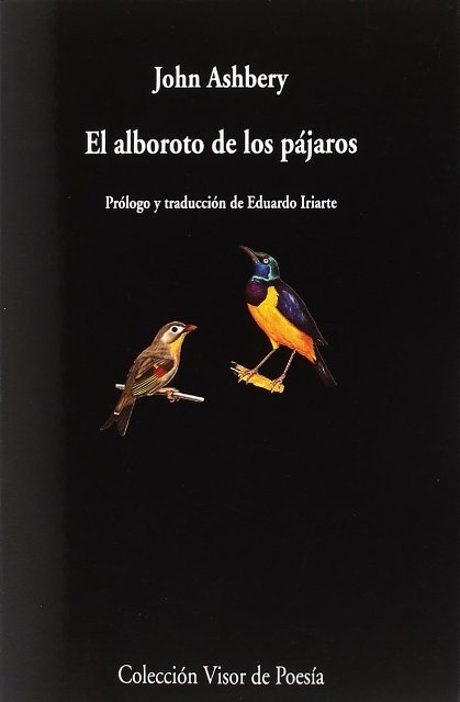 El alboroto de los pájaros