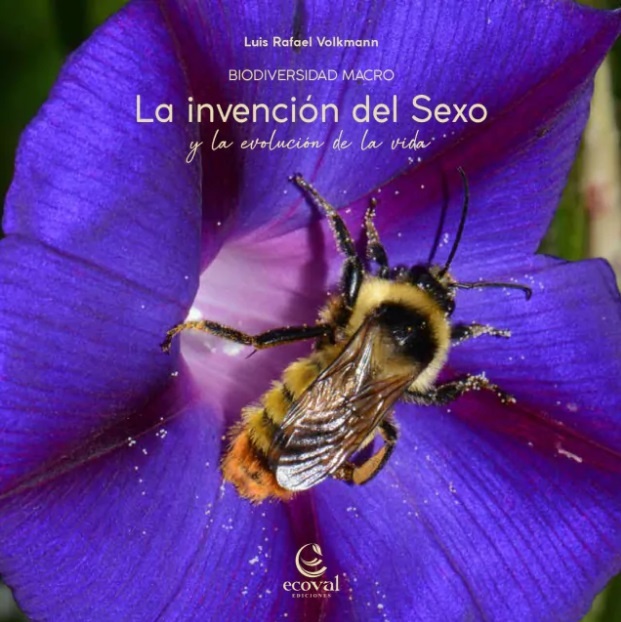 La invencion del sexo y la evolucion de la vida