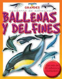 Ballenas y delfines, pequeños y grandes