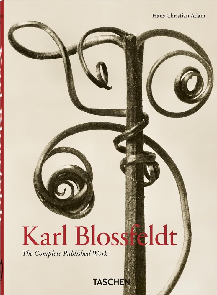 Karl Blossfeldt