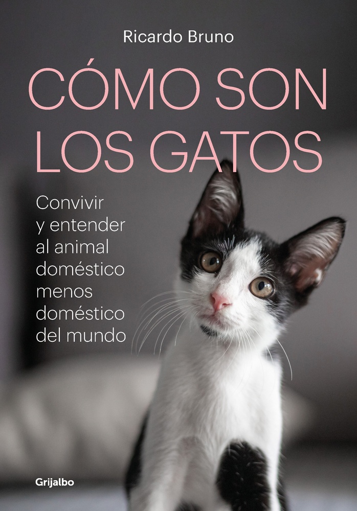 ¿Cómo son los gatos?