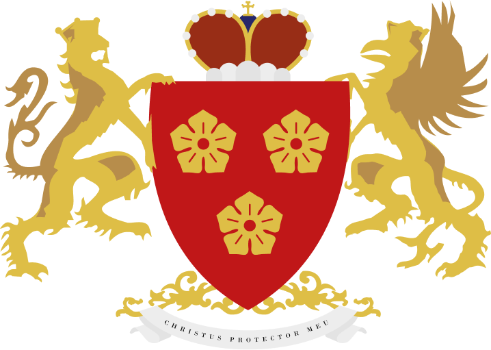 Fundación D