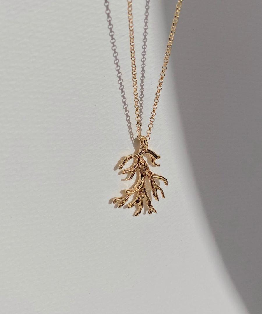 collar mini coral