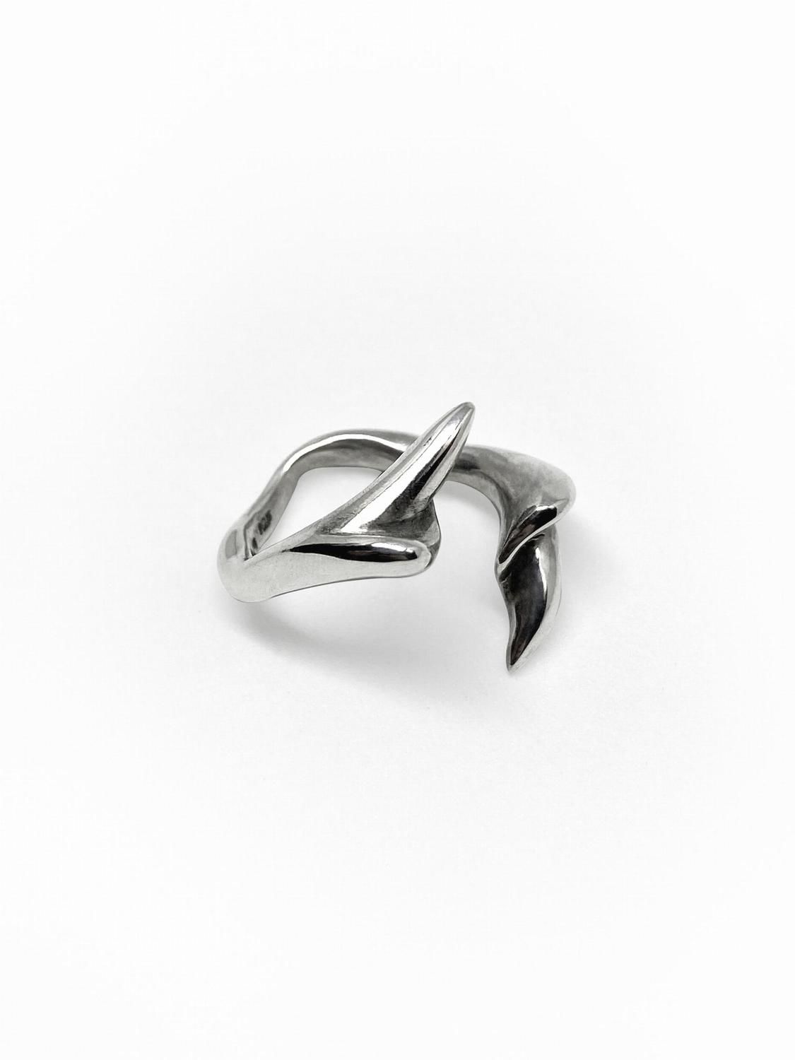 Anillo Vertebrae #2