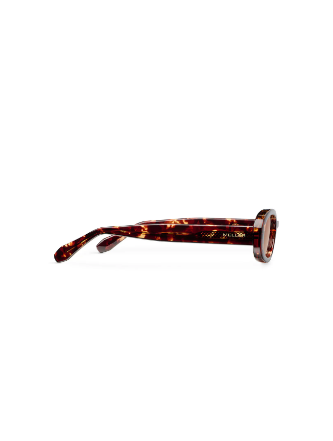 Lentes de Sol - Kai Tigris Brown