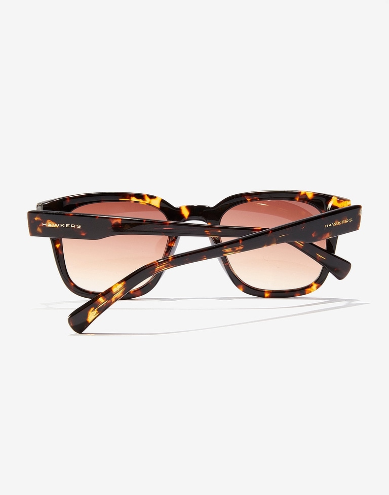 LENTES DE SOL - PIERRE GASLY - STACK CAREY