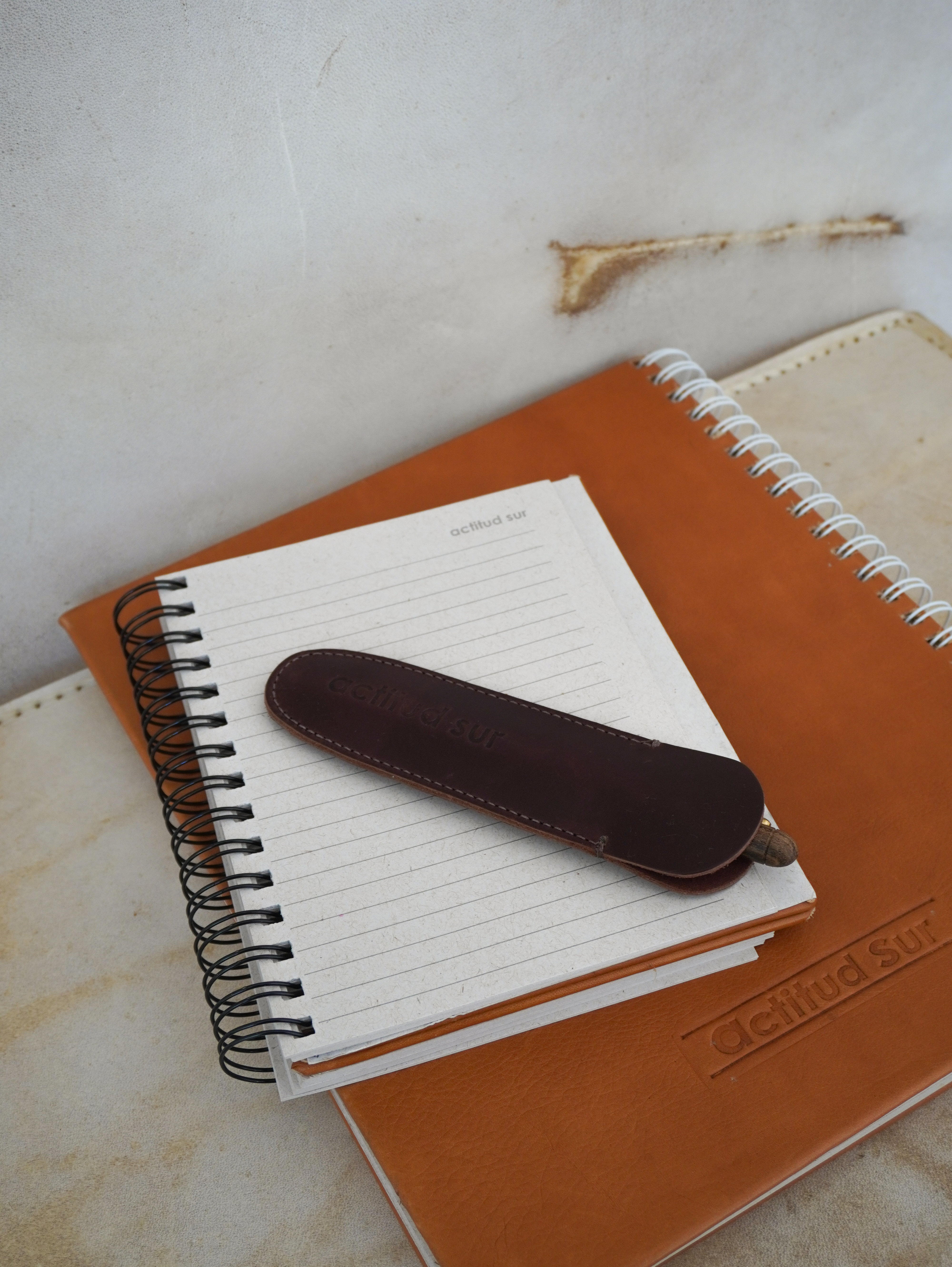 Desk Pen