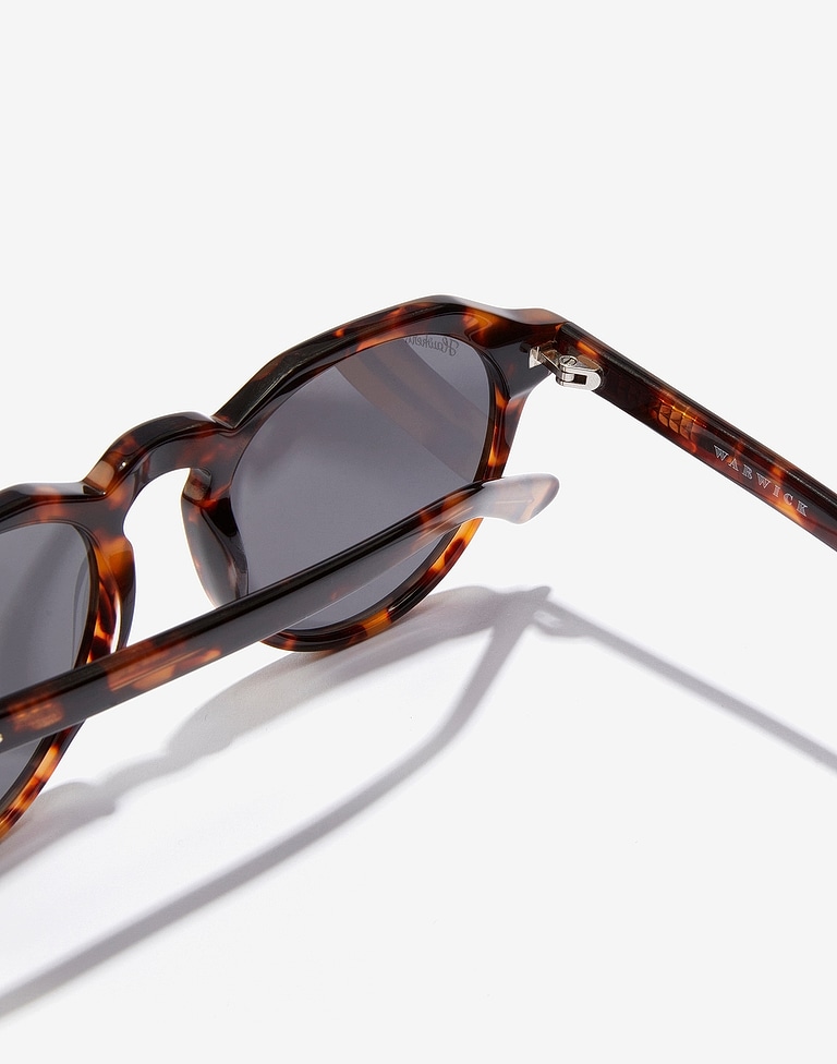 LENTES DE SOL - CAREY - DARK WARWICK X
