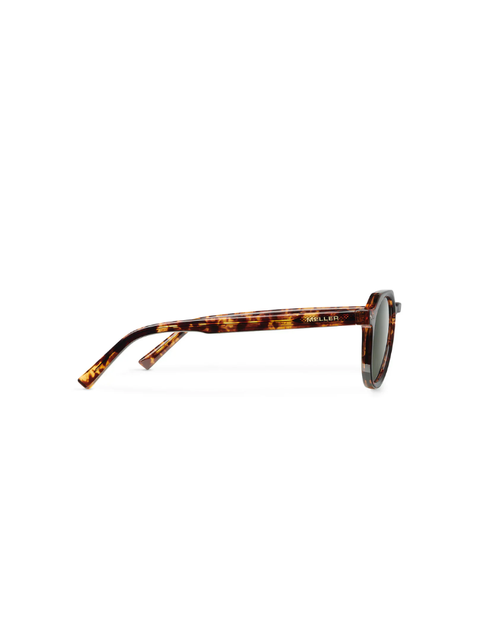 Lentes de Sol - Achawen Tigris Olive
