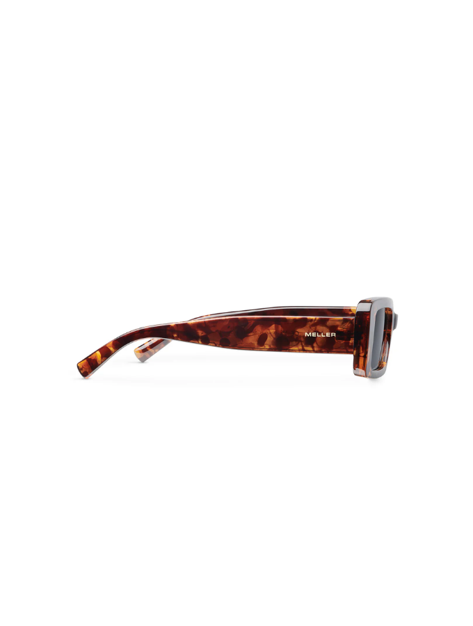 Lentes de Sol - Kisai Tigris Carbon