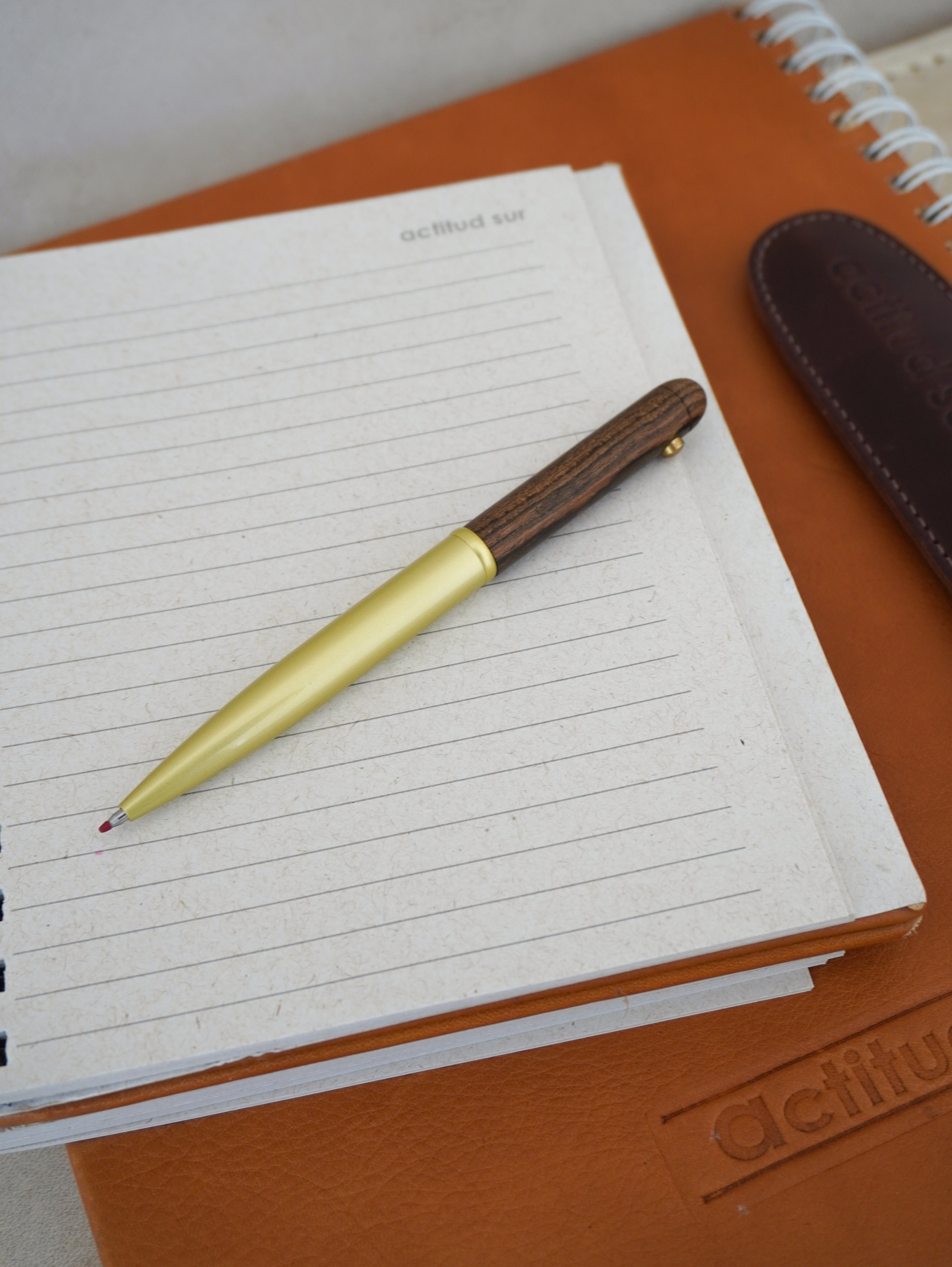 Desk Pen