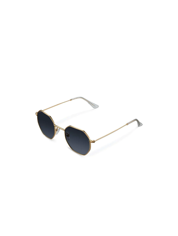 Lentes De Sol - Endo Gold Carbon