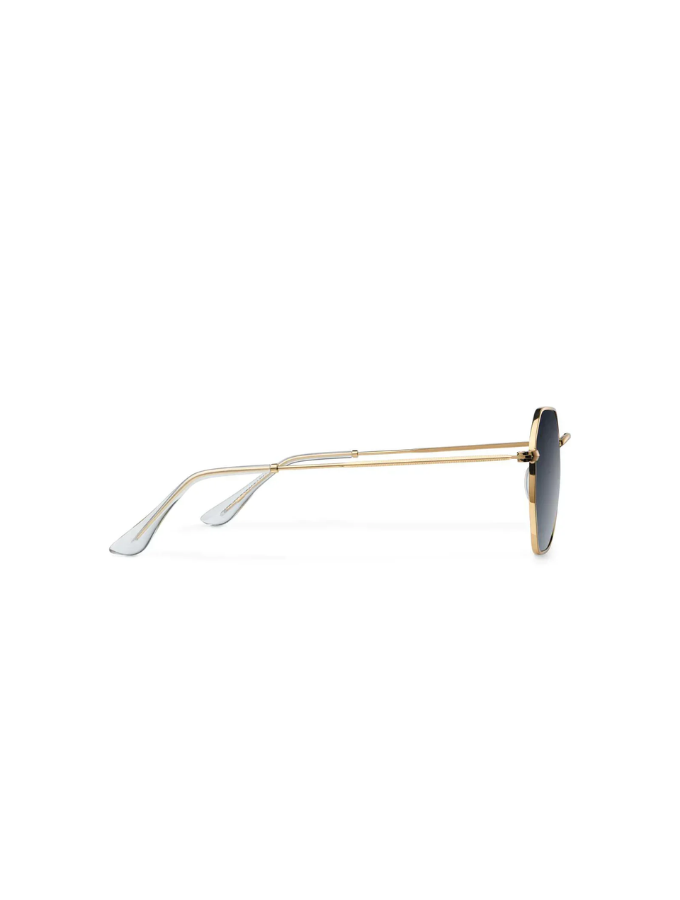 Lentes De Sol - Endo Gold Carbon