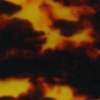 spec image