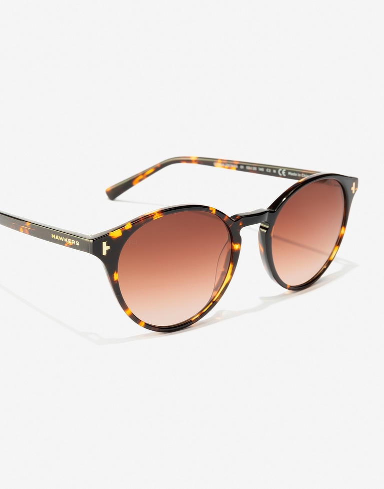 LENTES DE SOL - PIERRE GASLY - SALT CAREY