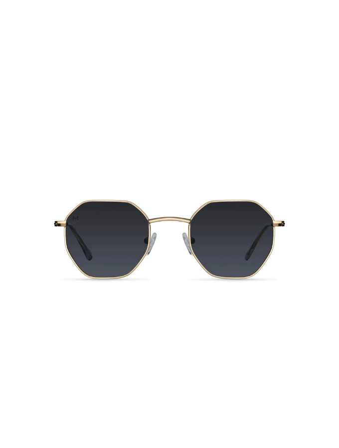 Lentes De Sol - Endo Gold Carbon