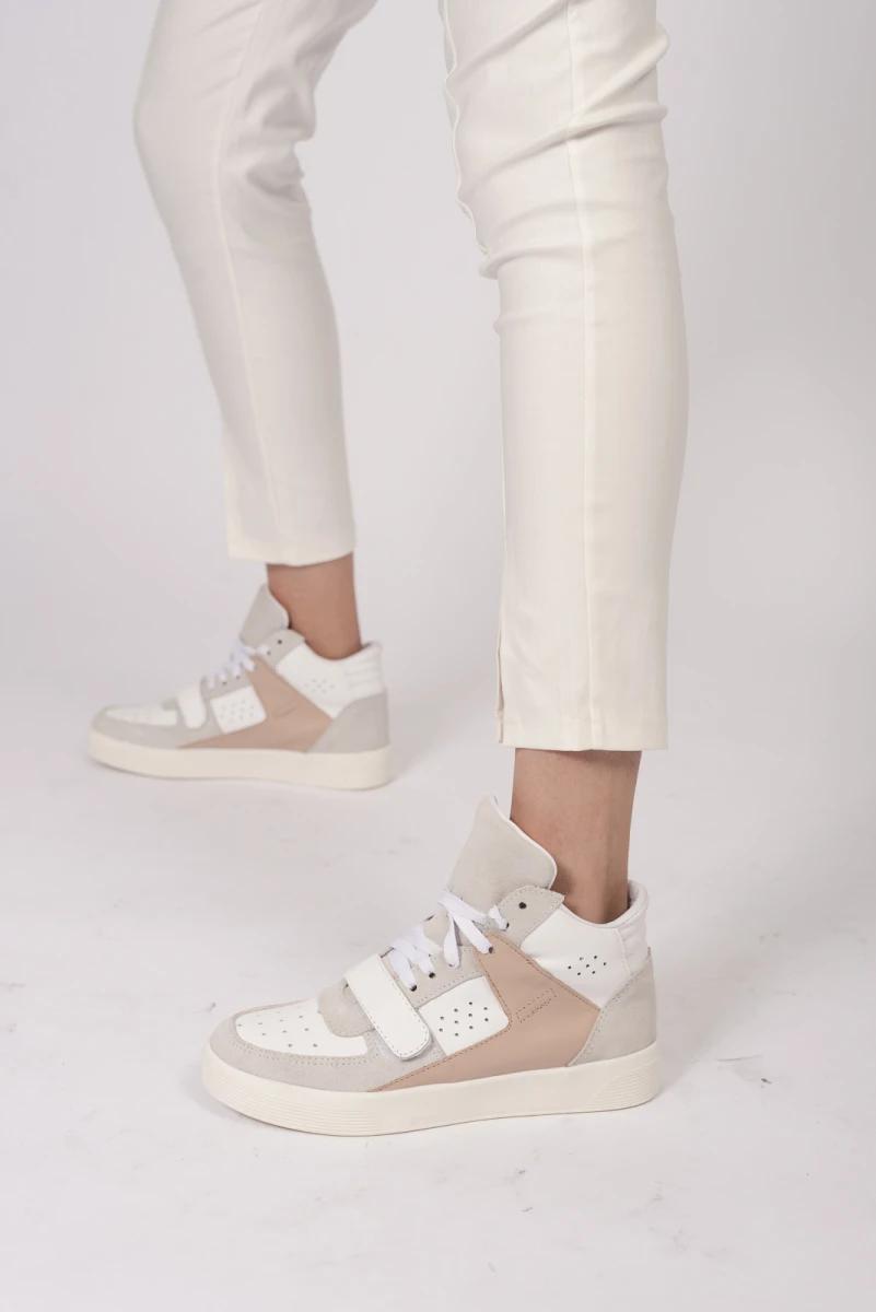 Sneakers Belfast
